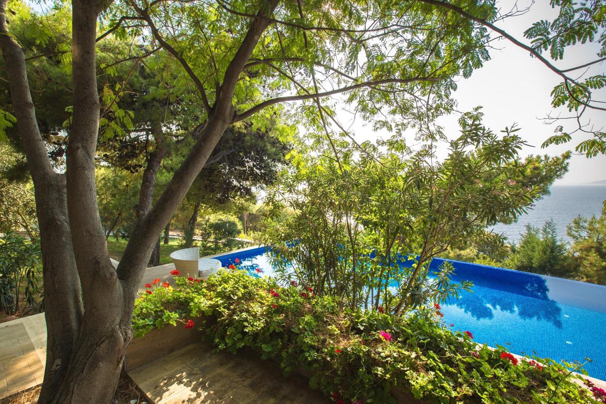 Pine Bay Holiday Resort Kuşadası Phòng bức ảnh The pool at the hotel